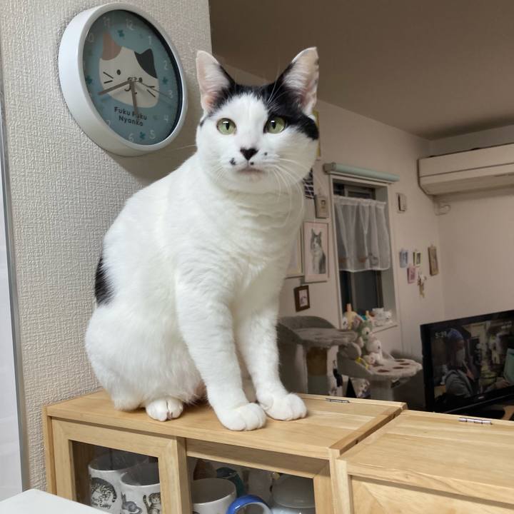 0750cb10 46f1 45ee a817 b36bddafb804 1765572011343