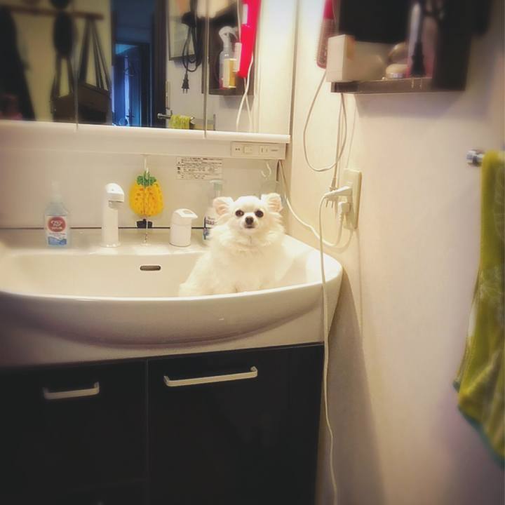 07511888 7362 49d2 9432 894d85e92223 1611482246817