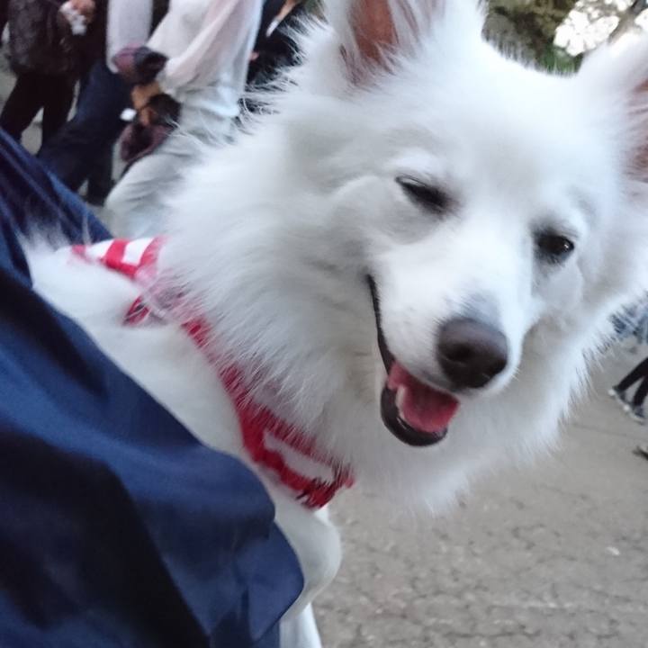 075174ca ce95 4c09 abdf 3cddadabefa6 1525013866530