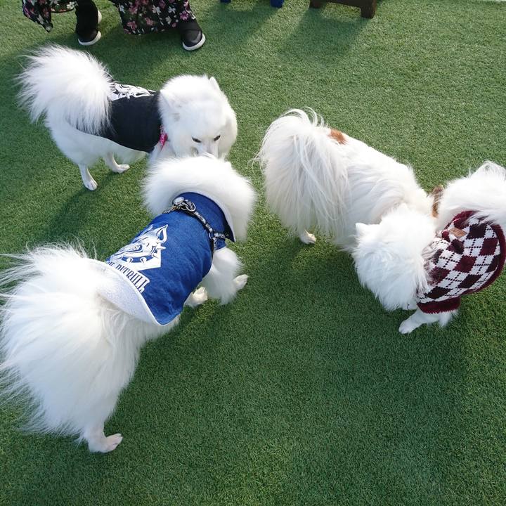 07519bcf 7d28 4f03 be79 f14d6a9942e8 1577512602560