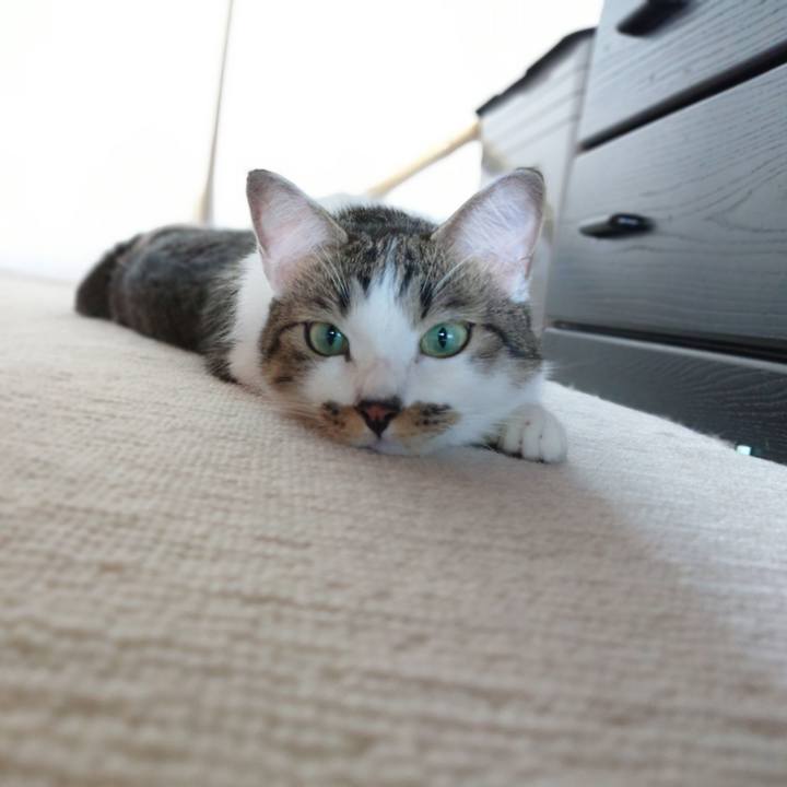 0751b774 b0a8 4390 9084 31fa202d74bb 1599889391108