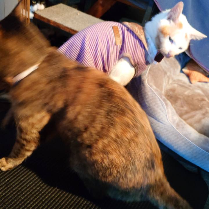 0751bdfa d4e5 4fef 8927 b1d3bfb94792 1773146540487