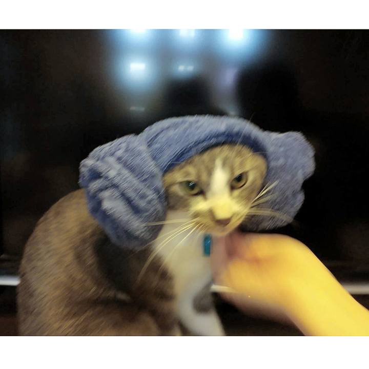 0751f77b f261 42e3 b517 efd77b9efec2 1598014939734