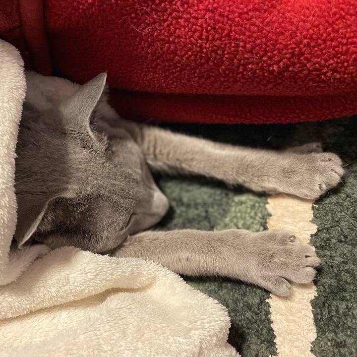 07520b85 7100 4b7b 9f7a f23de3cd228a 1648341973729