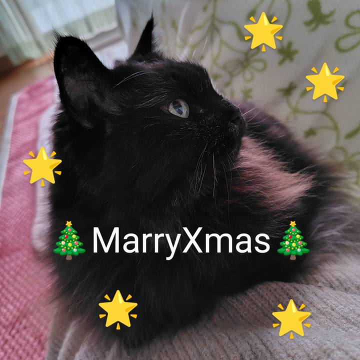 075268f5 ea87 42bc a916 eb9328989d42 1735024218098