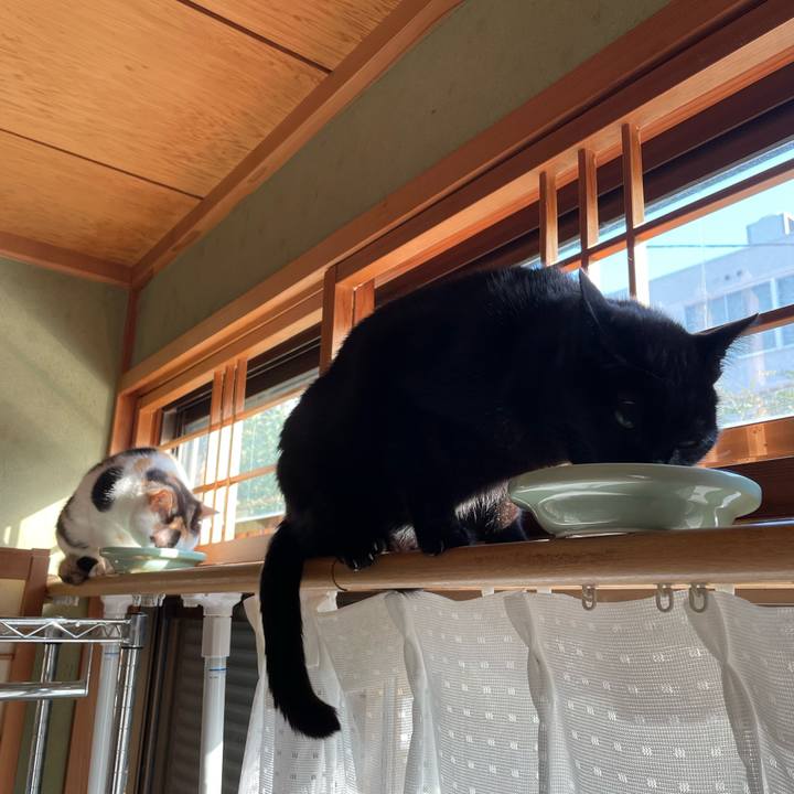 07526e40 7ee8 4dc3 b9bf a5b5574c3813 1637630240508