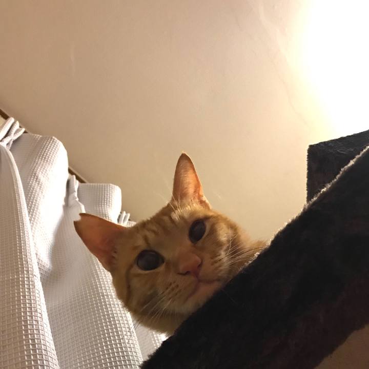 0752da1a 746c 4e9f 9ae2 809f918f4f85 1587338690793