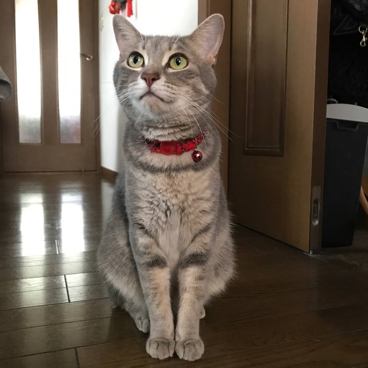 0752ef88 998a 4939 9d5a 8234ccdd0bd4 1597728513546