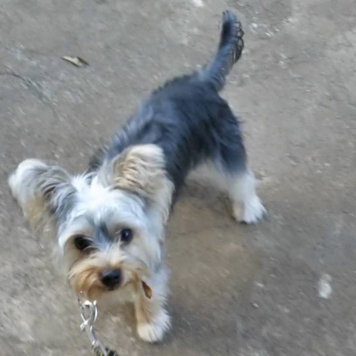 075300a9 c69c 4137 9c08 81c0f0d67436 1540375198788