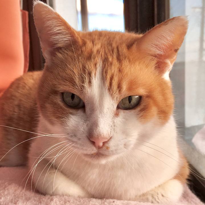 075308ab 854b 499c 8eb1 5576437a720b 1576654986057