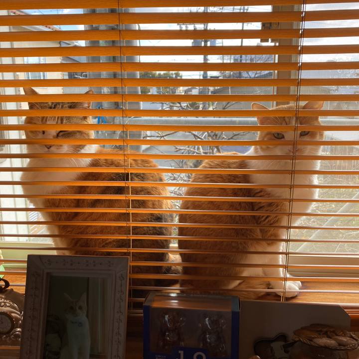 075311fb 5dd1 4bf4 8405 e8c1e93cce3e 1645581098902