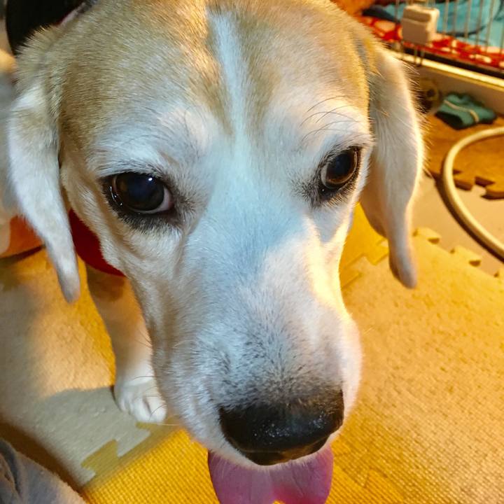 07532fc1 fa75 4890 8220 f57fd59fe622 1555162176270