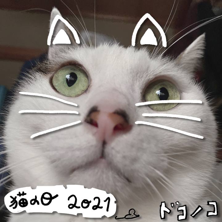 075352f1 a254 4ee2 a7b5 c3e1bab2bec2 1614000054771