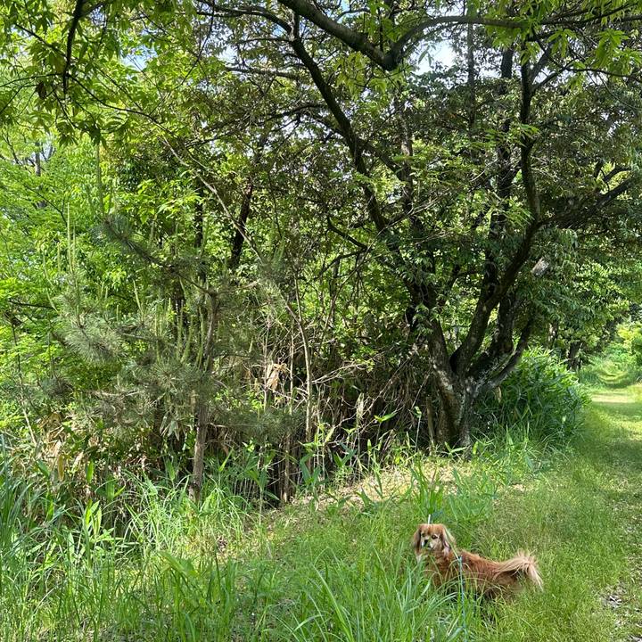 07538103 0067 49a8 aafd 0ea8f7fa76f6 1716768242443