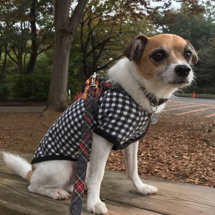 0753acc8 4704 4141 9d68 45d9ab7011f3 1541472388020