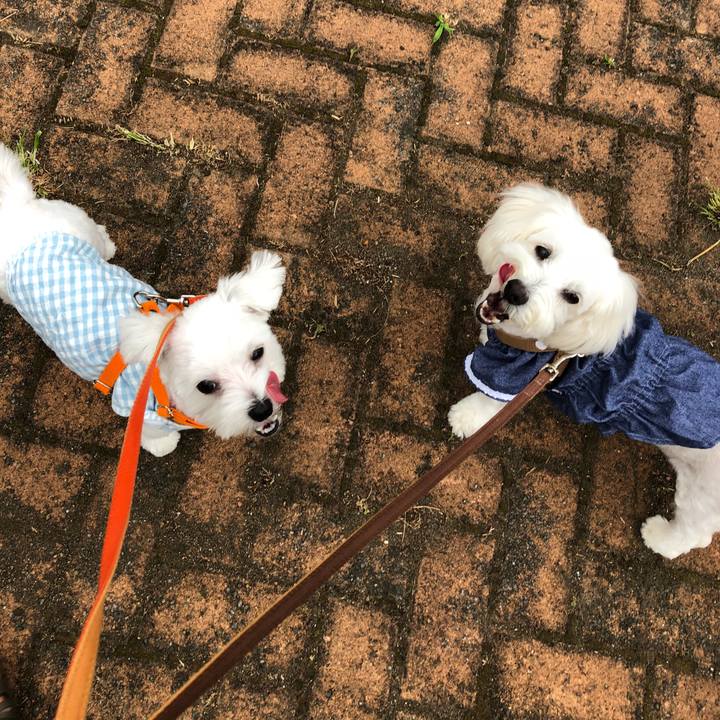 0753d16a bc46 4049 8df4 20567e743f32 1530758272902