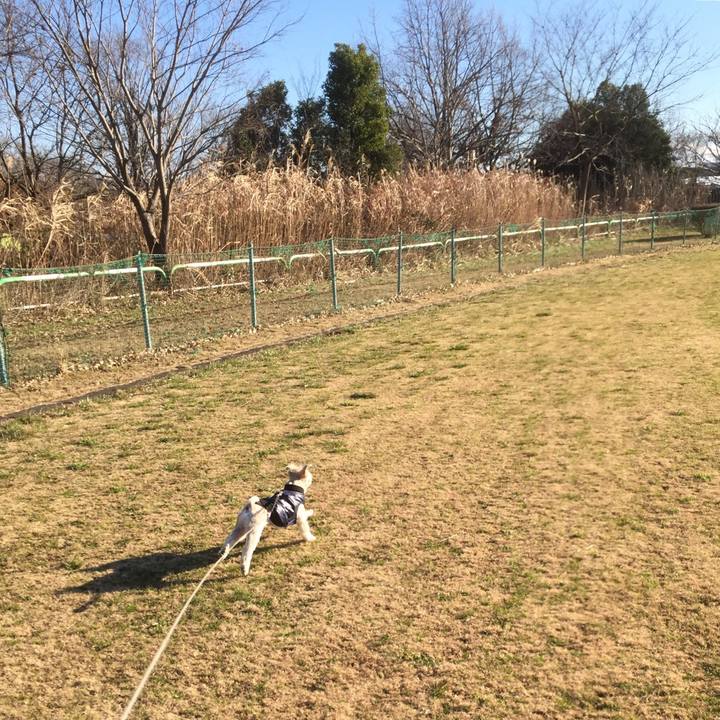 0753ec26 d0db 4101 b3d9 a16c21381cb2 1546162271865