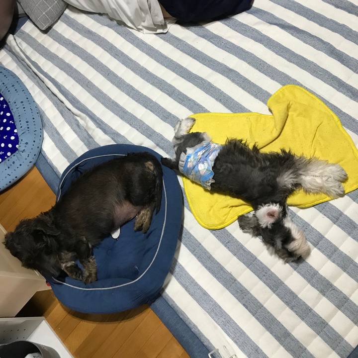 0753f8bb 4a41 4ce2 bbb5 5d527450c5c2 1567243511610