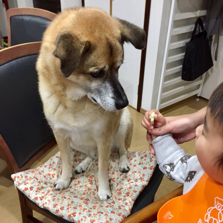 07540091 6b59 4752 beea 0aa9c963a339 1575205326390