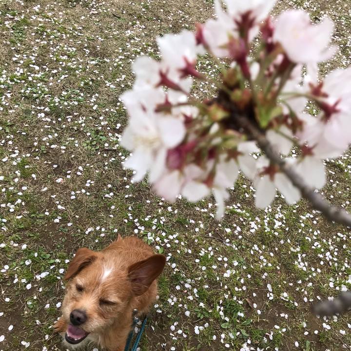 0754050c 1ed6 4eed b154 7a8ff757150f 1585295220290