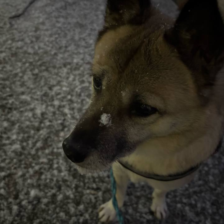 0754bd32 02f4 4247 a6dc cc947e2163c7 1736515492604