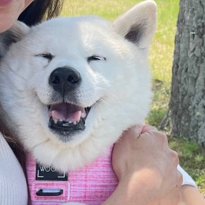 0754fd28 5c1b 4114 be88 6bae8e7d4db8 1713188273041