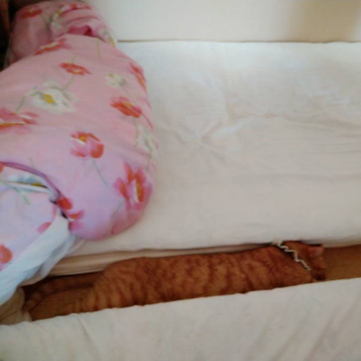 0755320b a239 45b1 98c1 a266054b3ebb 1598663747096