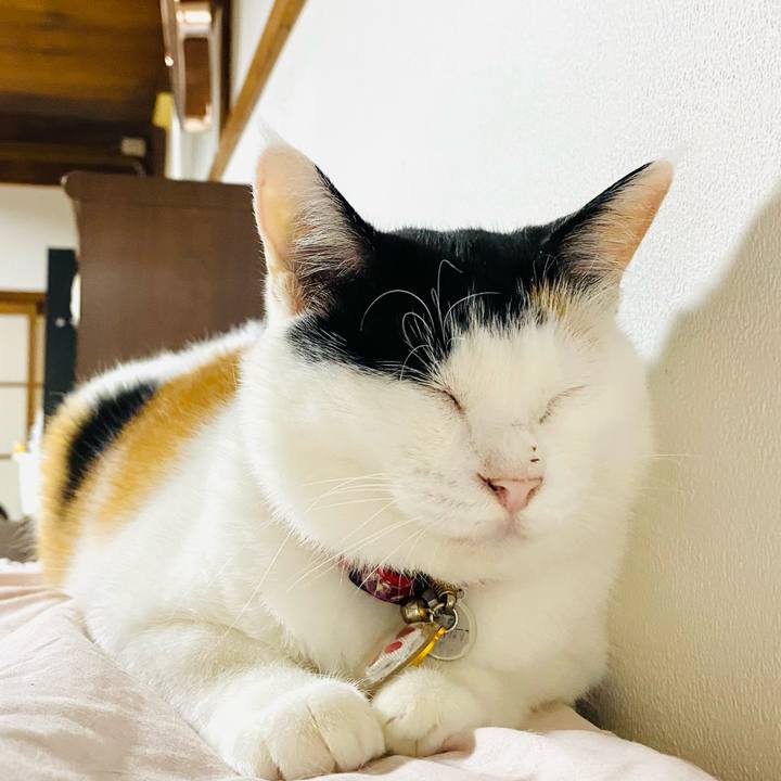 0755331c 56ed 4e39 b0a3 de3e11a9eee6 1723585845343