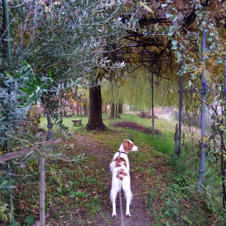 07553970 0108 4839 934e 8dff2c011c1c 1512003327557