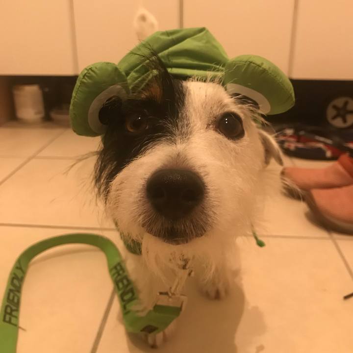 0755479b 41f6 423a bea2 7d5b53985368 1537442290989