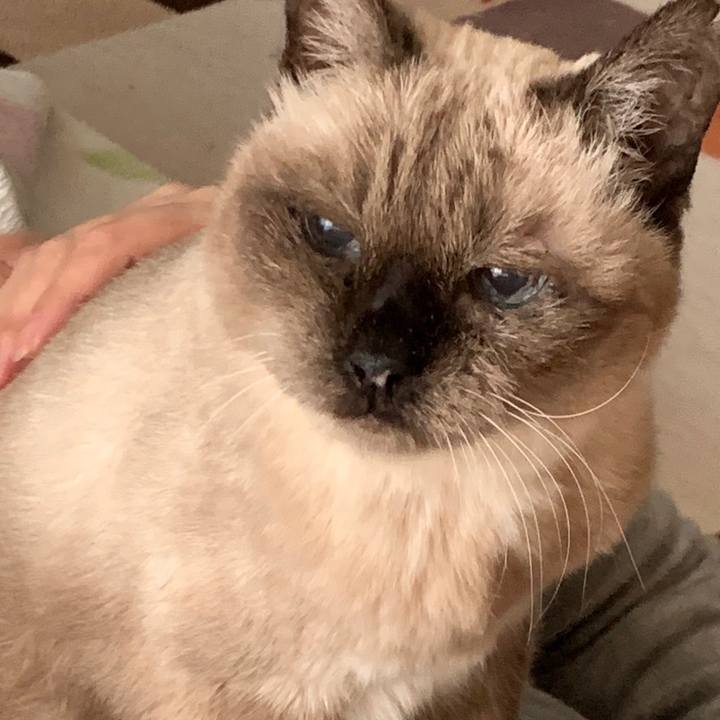 07554be2 2b77 44dd 995a 4f19f606f521 1670899867768