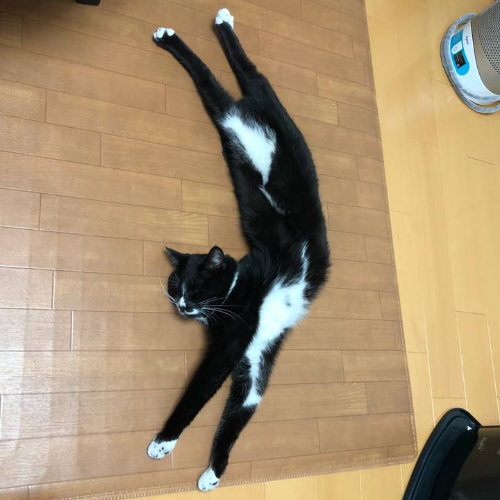 07558e33 bc11 4679 bbf2 20599462155f 1518752852105