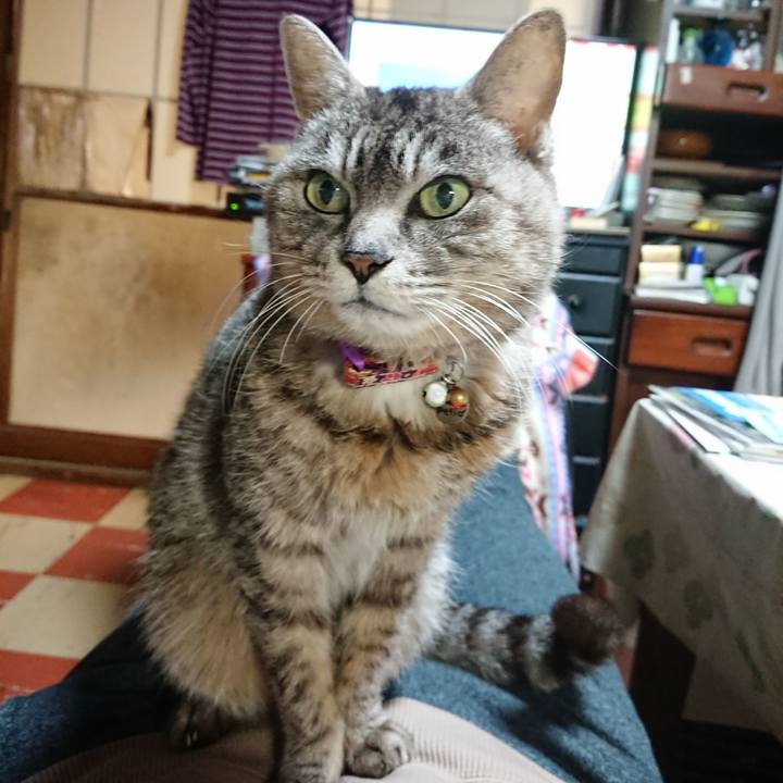 0755ac25 ed42 439c bf51 c151b0588819 1585223044461