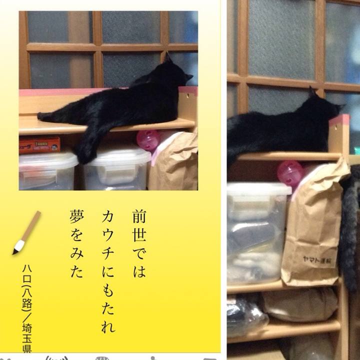 0755add9 7ad9 4b10 b002 b84cfd2f5105 1533379535998