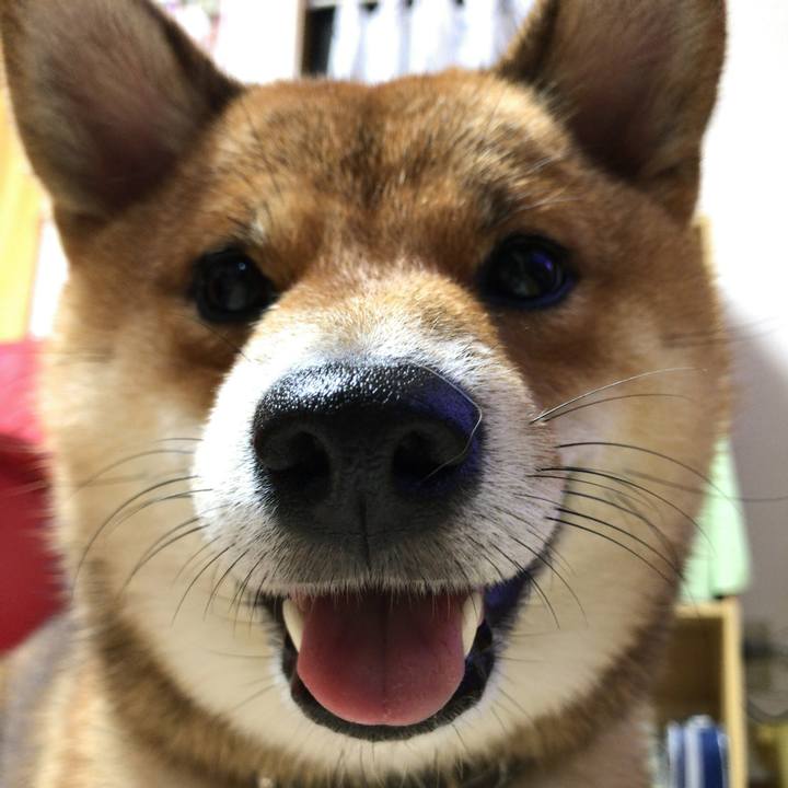 0755b3e5 13c2 41ed ac33 c6dd7091b6aa 1536833114058