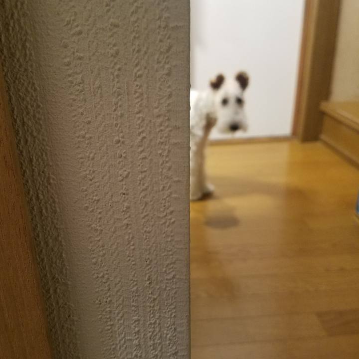 0755f957 873c 474d 93b1 0ae14349a0e5 1562165333625