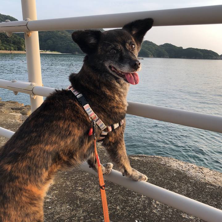 07562138 cde7 4389 a5fa d4745e1ee871 1596279438431