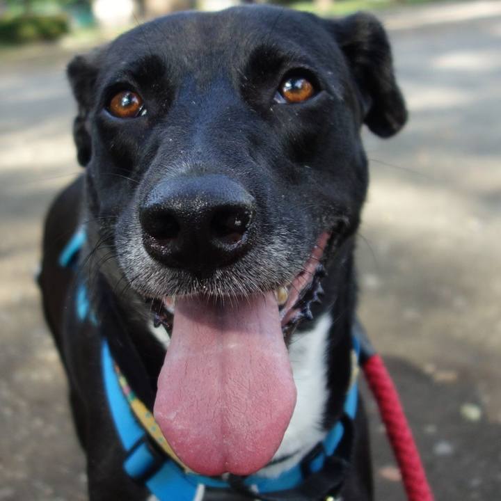 07562fec 8461 40ab 89b2 90adae100bc9 1624667994157