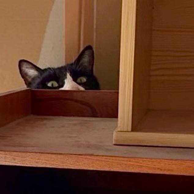 07563533 84e7 4a32 9ba1 54afba9aa1af 1765419395058