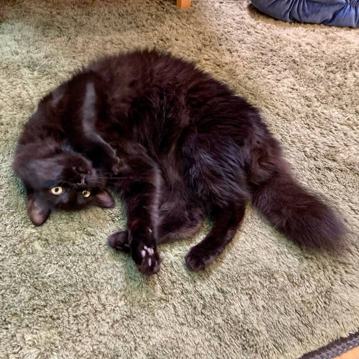 07565289 9619 446f 9212 f8aaef5493e5 1748954366034