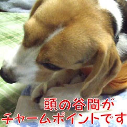 0756659a 137a 4505 add1 f793746308db 1720210501945