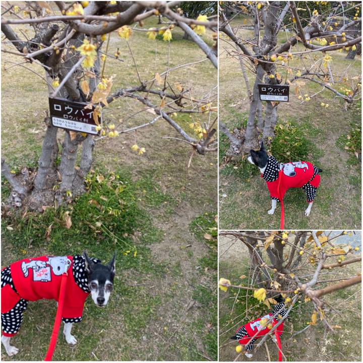 075689f8 cfac 4023 876e 89f6d7025901 1610356167749