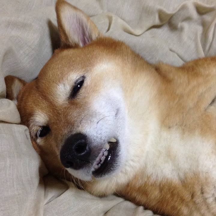 0756ac68 6b5c 4547 9a65 f310b93abc27 1540559537328