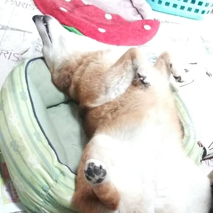 0756bb06 fd8d 4b73 933b 560a459391a4 1620989197387