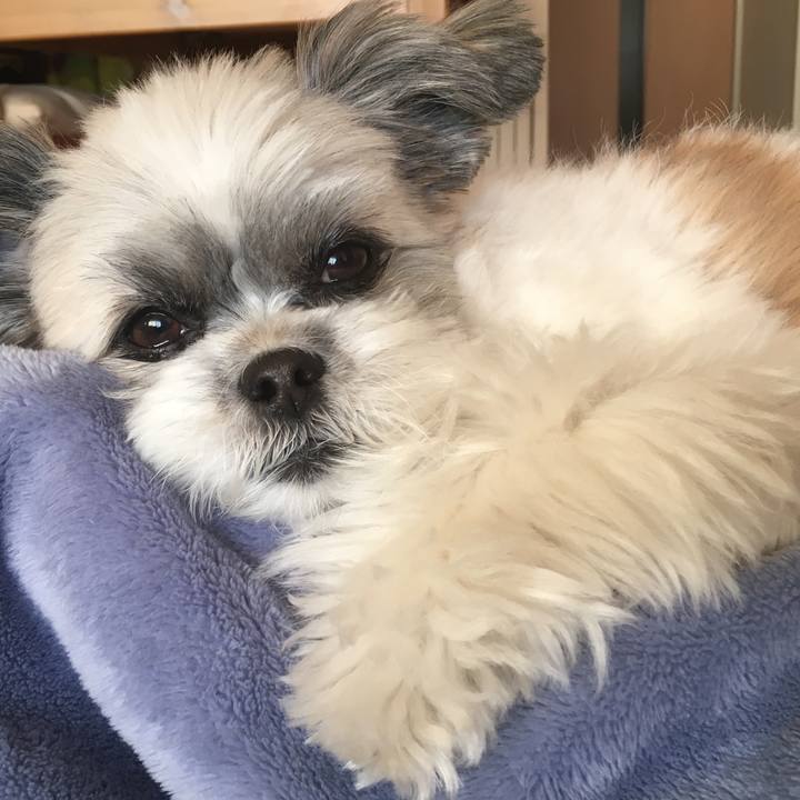 0756d73c c3f0 4134 a5f6 0e67f64dd482 1547174373734