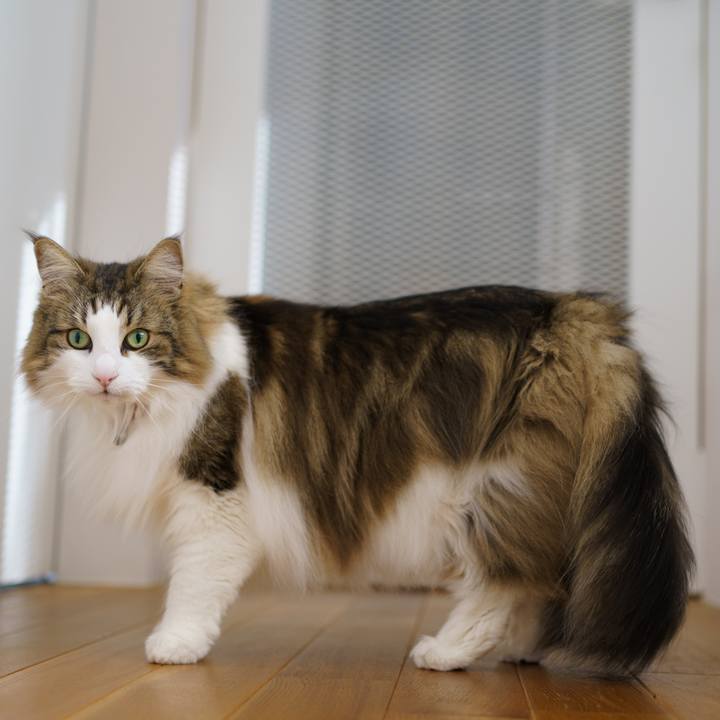 0756ec96 58df 4d46 9b34 4ad822543a8d 1649234013309