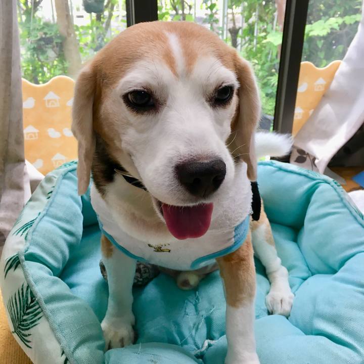 0757bbf2 51e4 4e50 8710 a9b93754ef9a 1563424335992