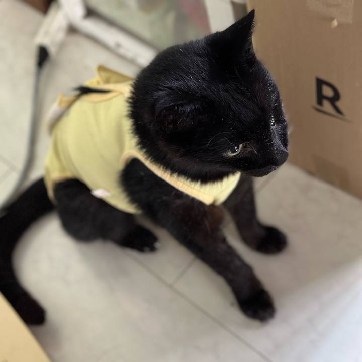 0757ecbd d2f1 464d be45 29933efd0d1a 1720144348979