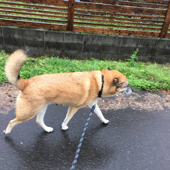 0757fd91 0556 4cca 856e 8a38e0f59db2 1509234837518