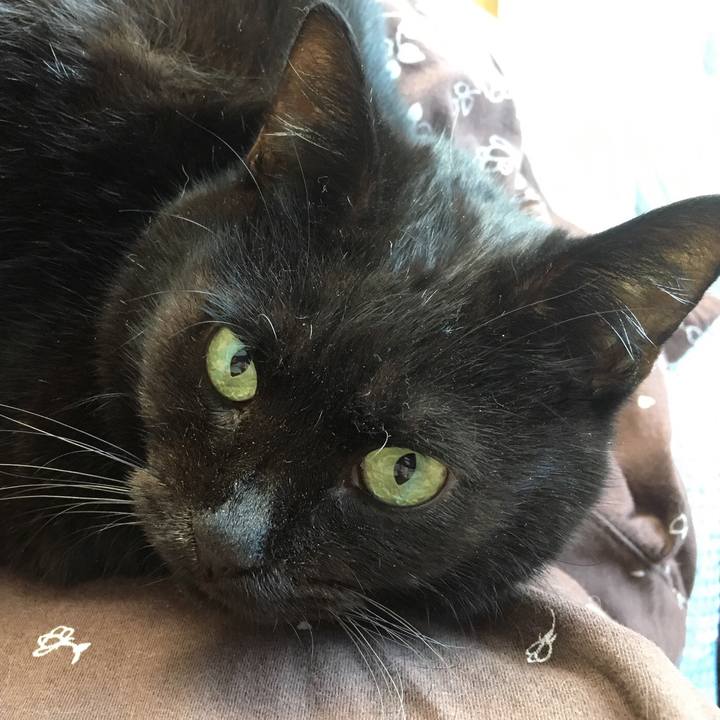 07581c1b f9ec 4f82 975b 81631bb3ed4f 1543023306961